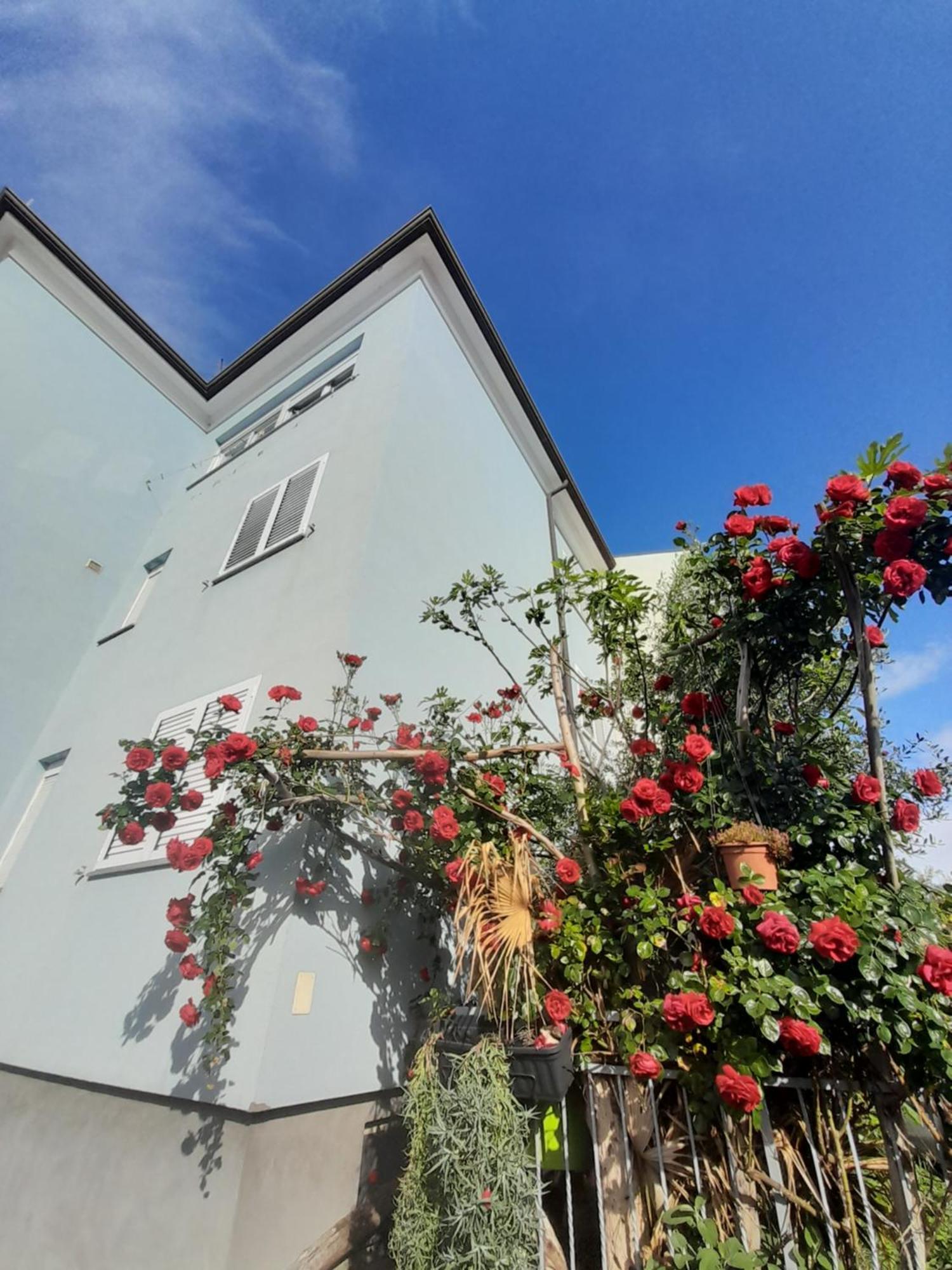 Apartment Lea Rovinj