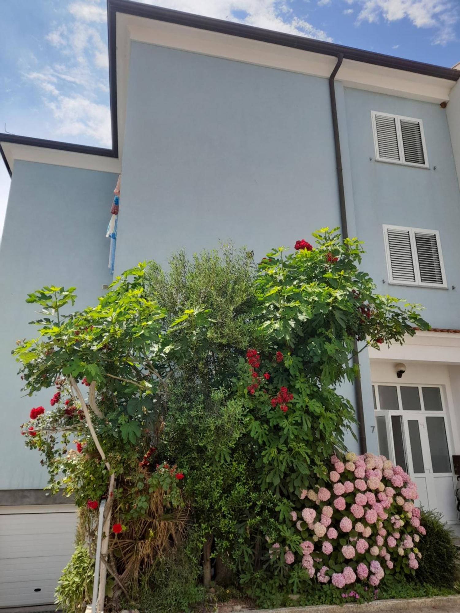 Lea Apartament