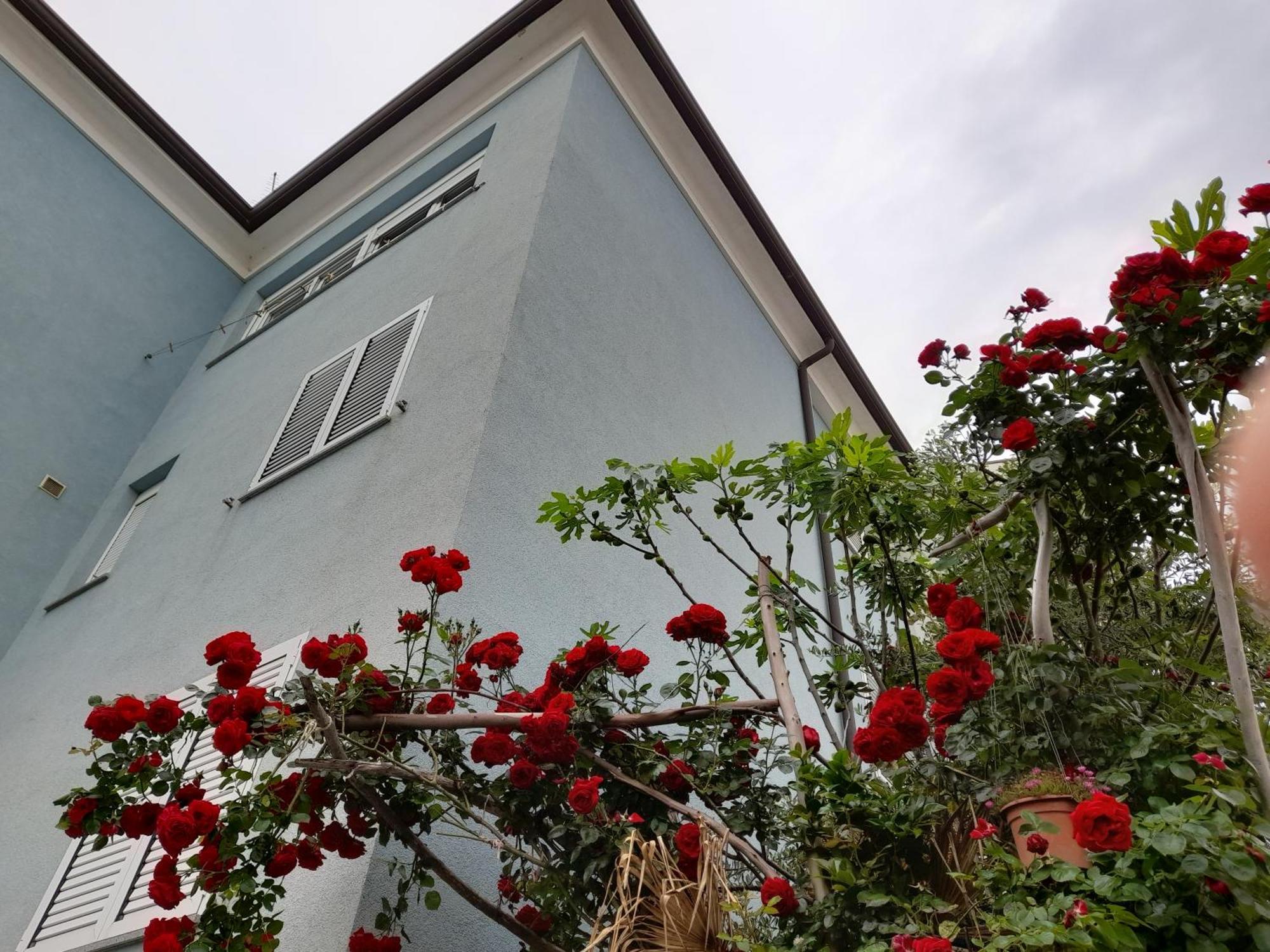 Apartment Lea Rovinj