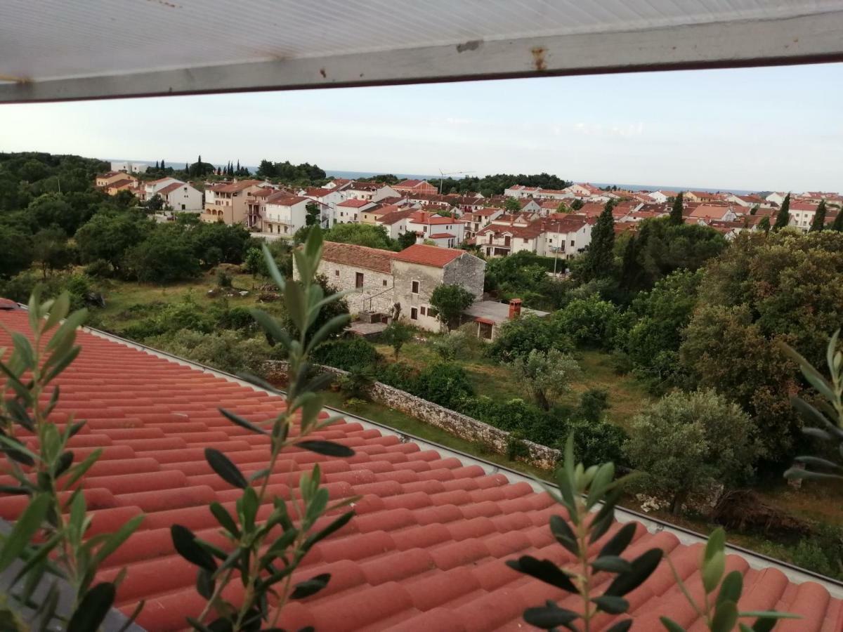 Apartament Lea